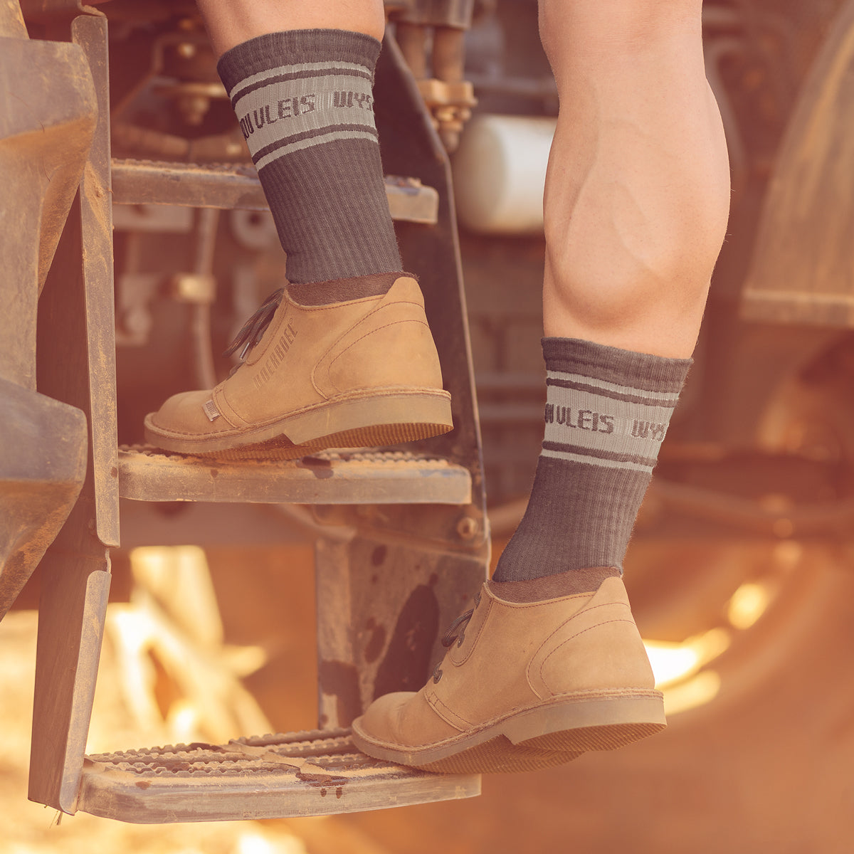 Men's Long Outdoor Cotton Sock Charcoal & Grey "Wys" image 1