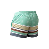 Men's Swim Shorts Turquoise Stripe image 1